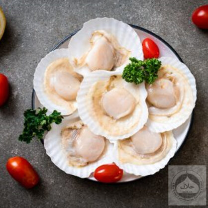 Half Shell Scallops - Large (1kg) - Savour Gourmet