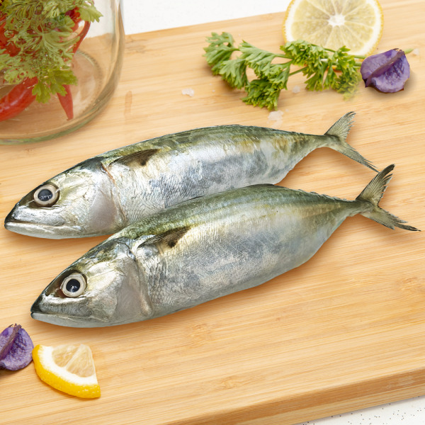 Indian Mackerel Kembong Fish (1kg) - Savour Seafood