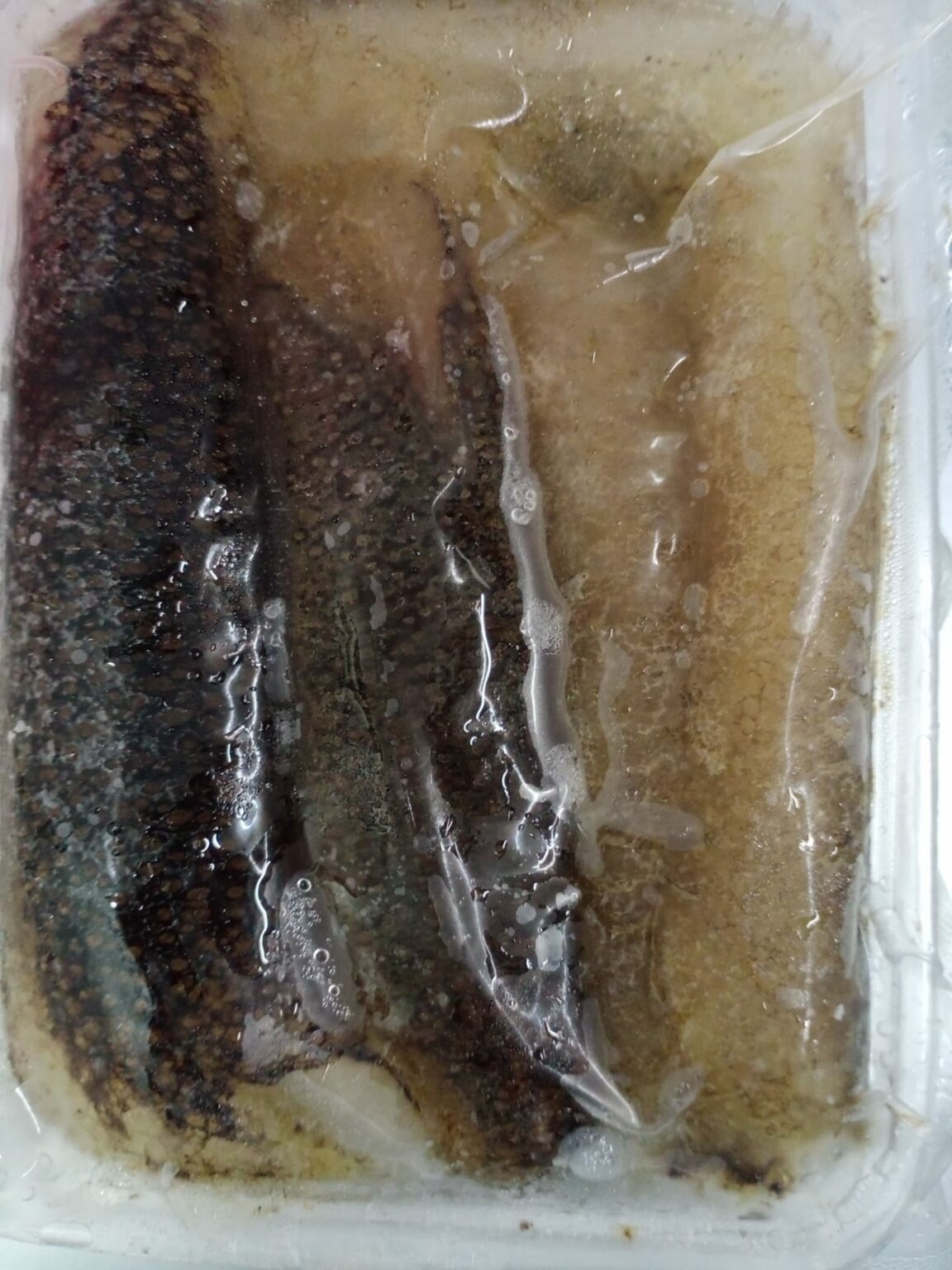 frozen-sea-cucumber-500g-savour-gourmet