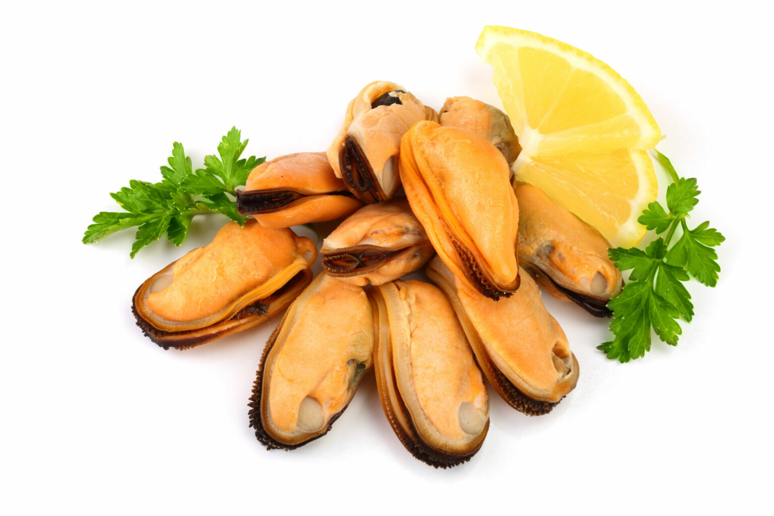 Frozen Mussel Meat (500g) Savour Gourmet